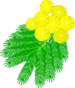 mimosad.GIF (7650 byte)